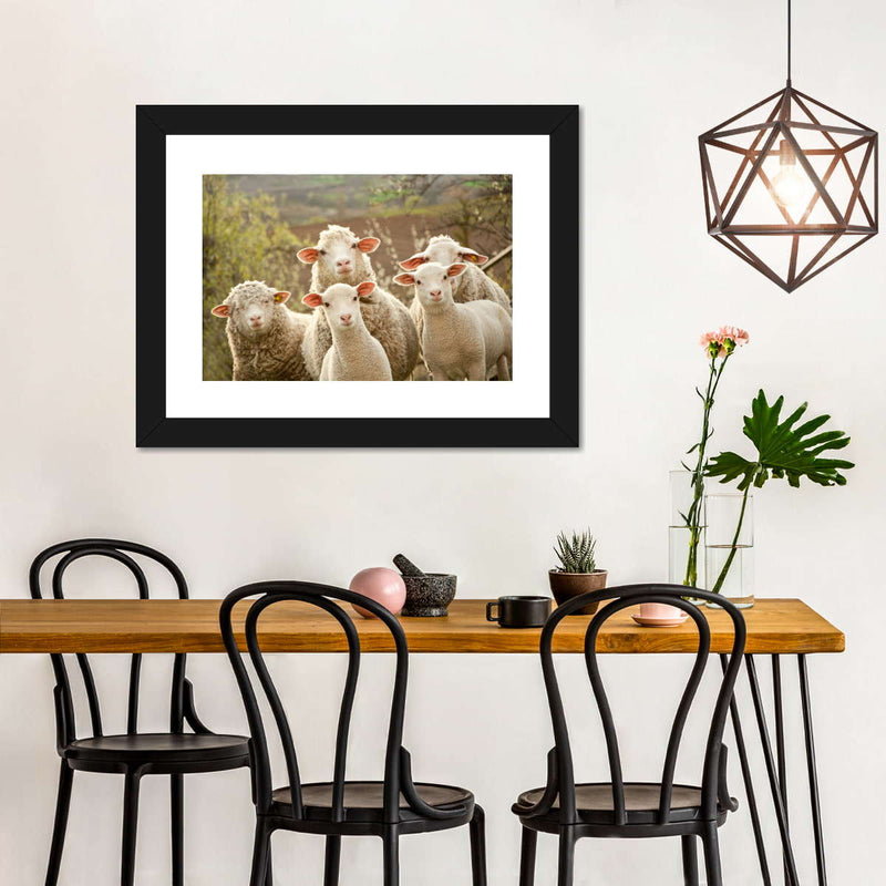 Stunned Sheep Wall Art