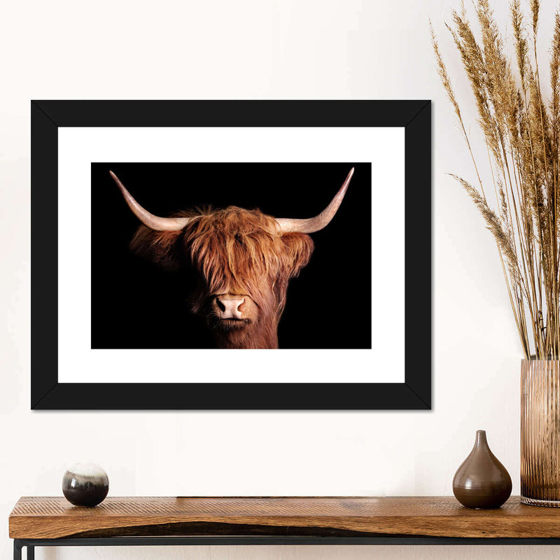 Scottish Highland Cow Wall Art