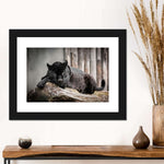 Lounging Black Panther Wall Art