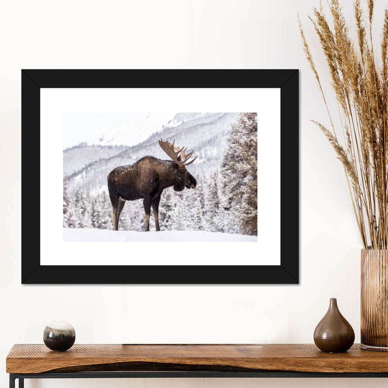 Snowy Moose Wall Art