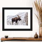 Snowy Moose Wall Art