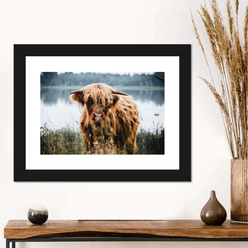 Lakeside Highland Cow Wall Art