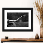 Texas Longhorn Cattle Wall Art