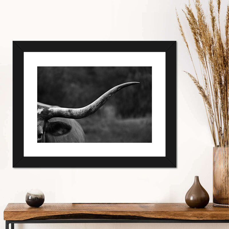 Texas Longhorn Cattle Wall Art