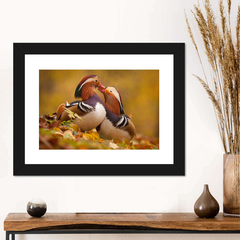 Loving Mandarin Ducks Wall Art