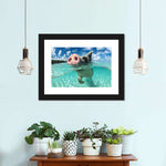 Swimming Pig Wall Art