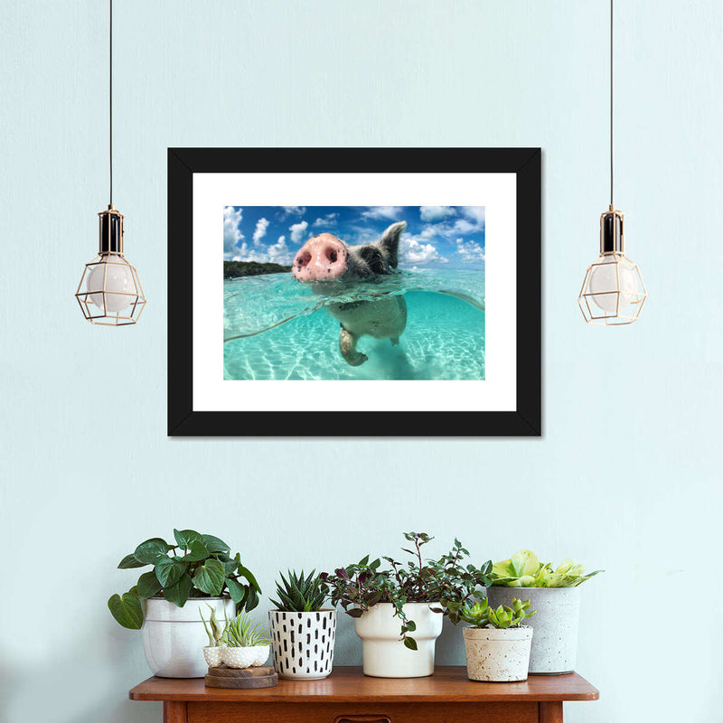 Swimming Pig Wall Art