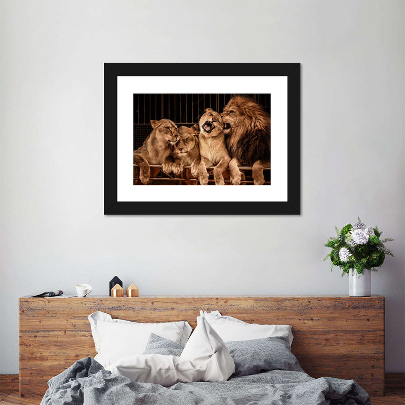 Pride Of Lions Wall Art