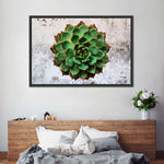 Grunge Succulent Wall Art