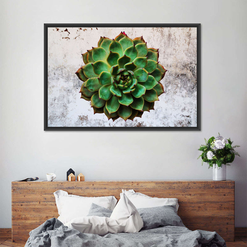 Grunge Succulent Wall Art