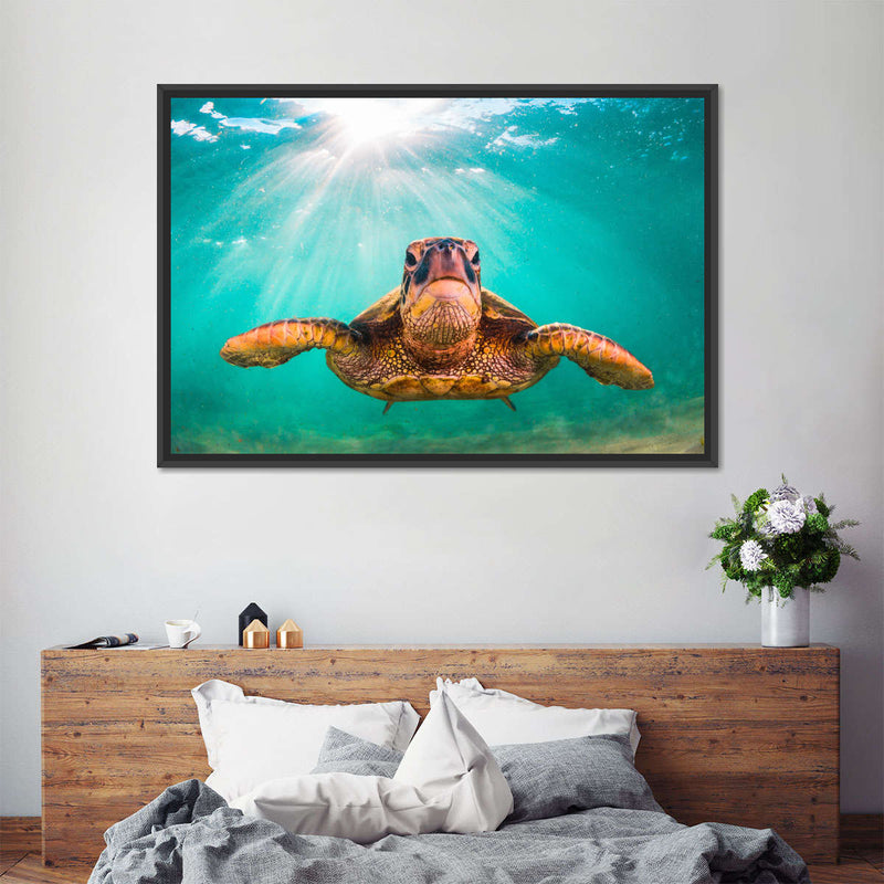 Maui Green Turtle Wall Art
