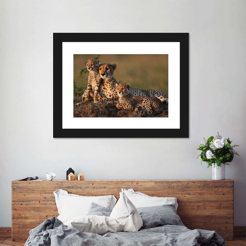 Safari Cheetah Family Wall Art
