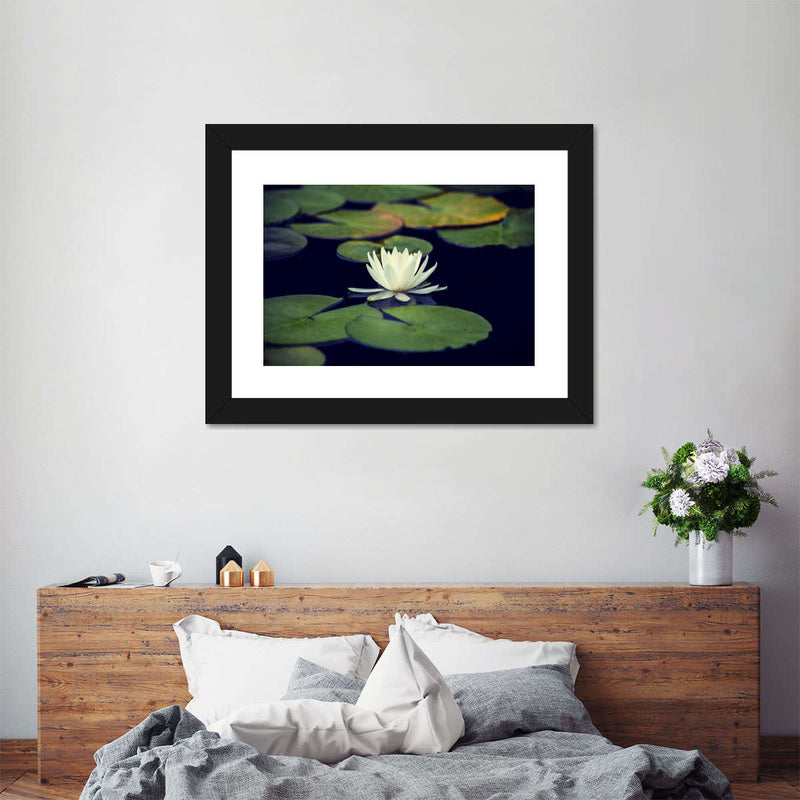 Lotus And Leaves Wall Art