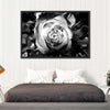 Monochromatic Rose Wall Art