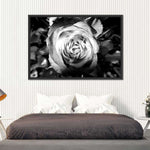 Monochromatic Rose Wall Art