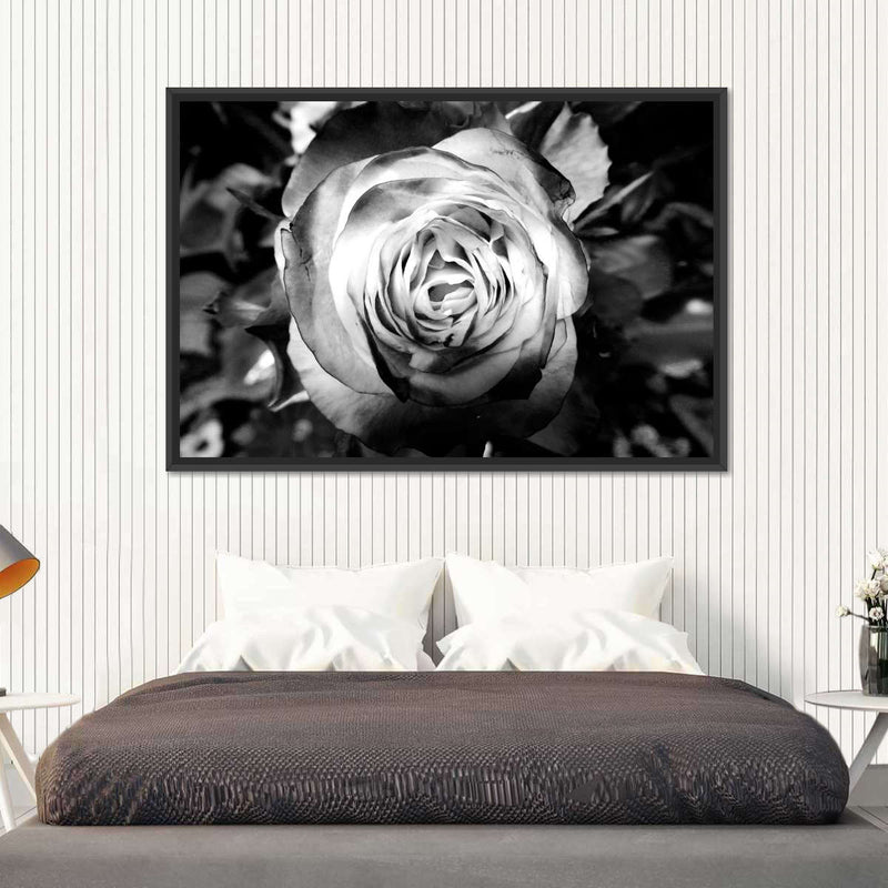 Monochromatic Rose Wall Art