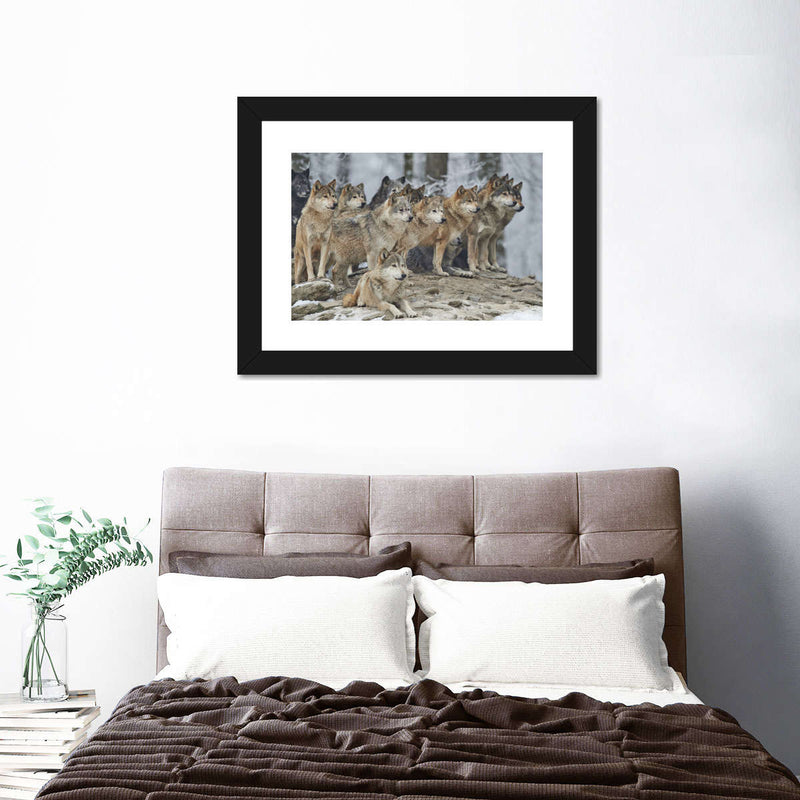 Wild Wolf Pack Wall Art