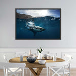 Shark Sunshine Wall Art