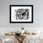 Staring Owl Wall Art