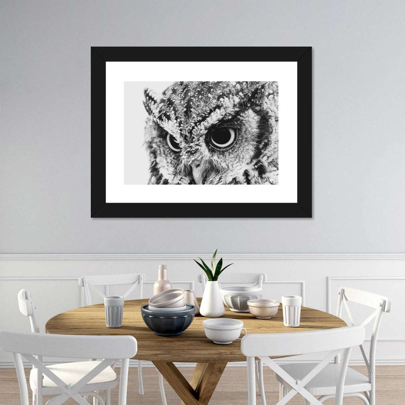 Staring Owl Wall Art