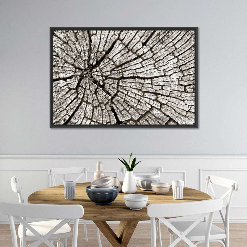 Tree Stump Wall Art