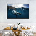 Shark Sunshine Wall Art