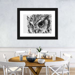 Staring Owl Wall Art