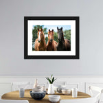 Young Horses Wall Art