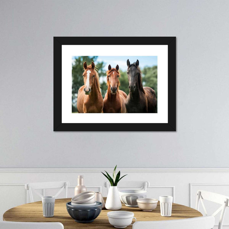 Young Horses Wall Art