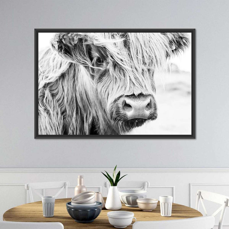 Long Haired Cow Wall Art