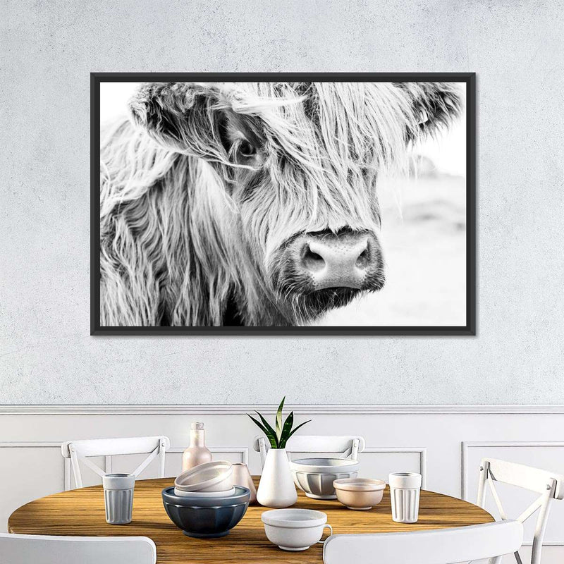 Long Haired Cow Wall Art