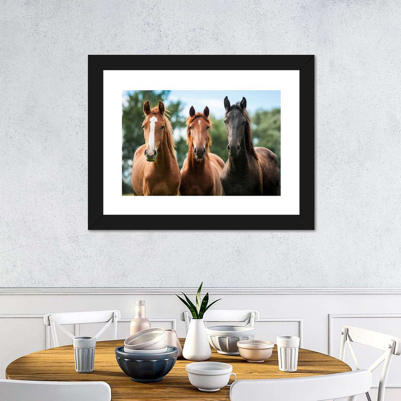 Young Horses Wall Art