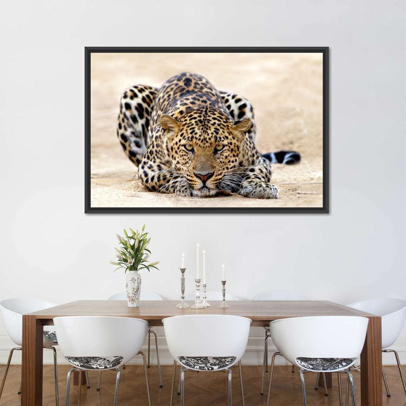 Watchful Jaguar Wall Art