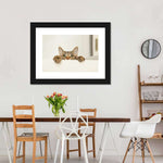 Peeking Young Cat Wall Art