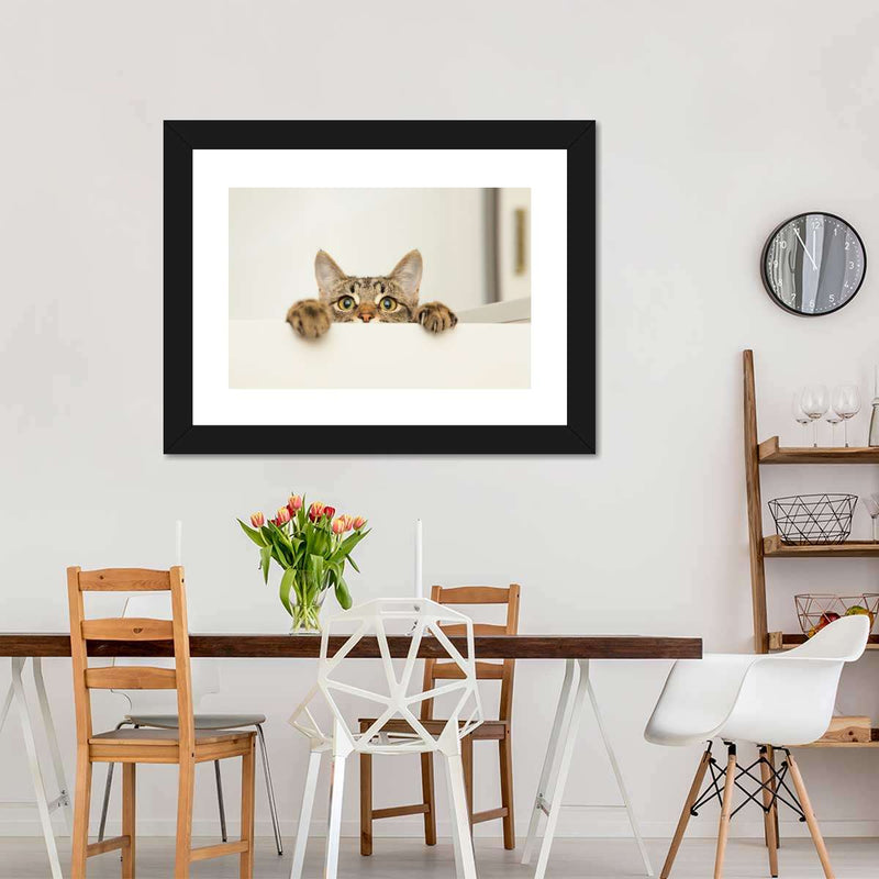 Peeking Young Cat Wall Art