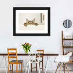 Peeking Young Cat Wall Art
