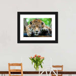Lazy Leopard Wall Art