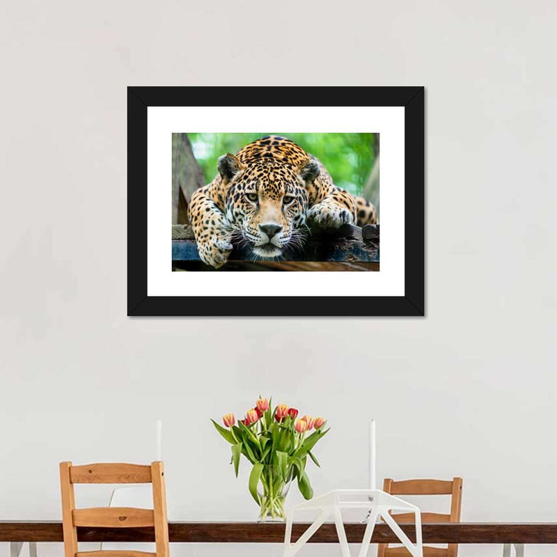 Lazy Leopard Wall Art