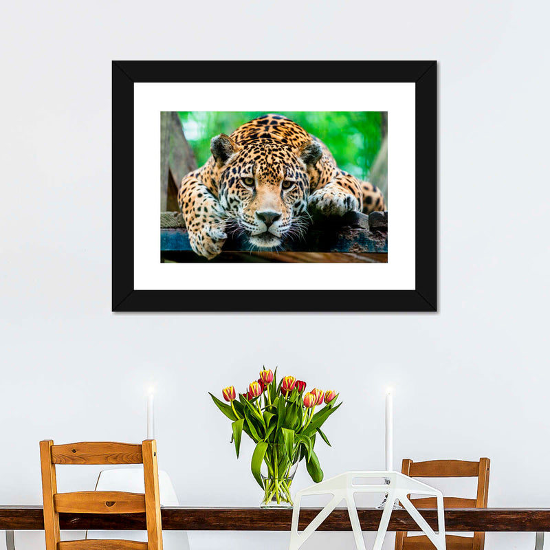 Lazy Leopard Wall Art