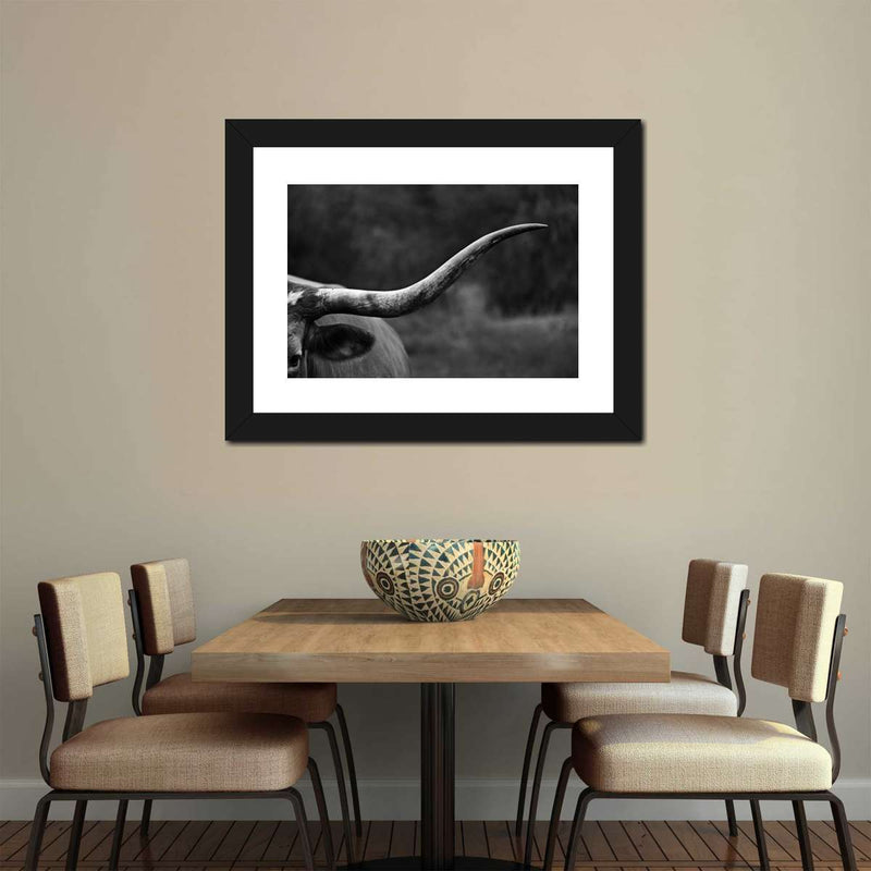 Texas Longhorn Cattle Wall Art