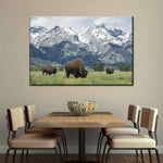 Grazing Teton Bison Wall Art