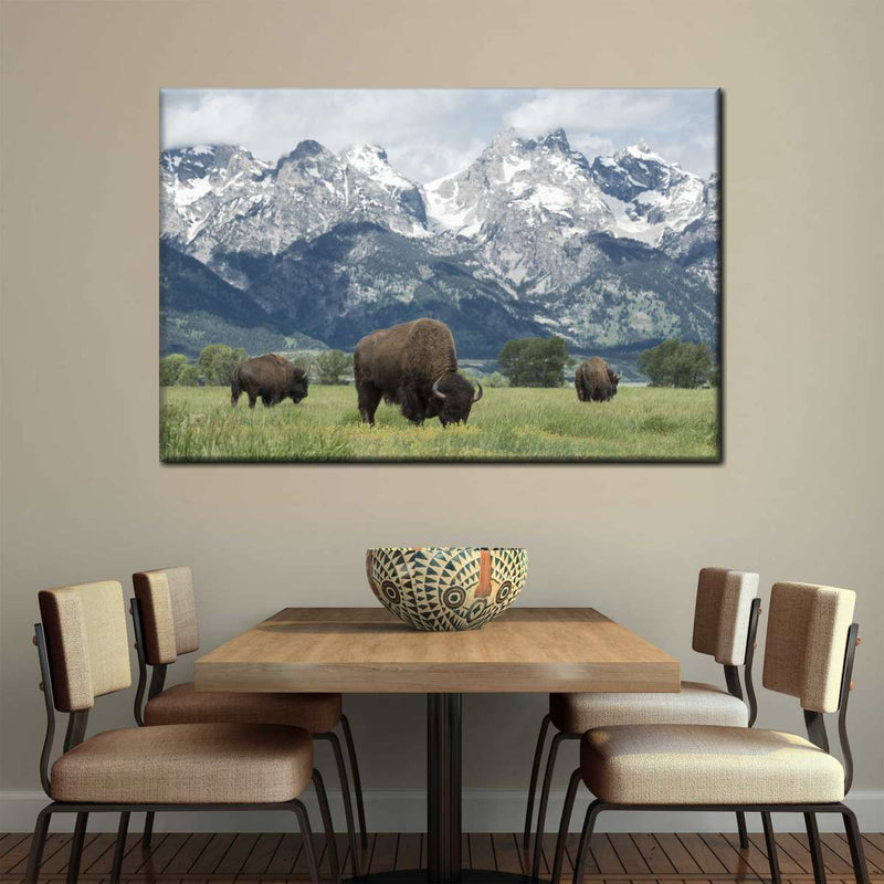 Grazing Teton Bison Wall Art
