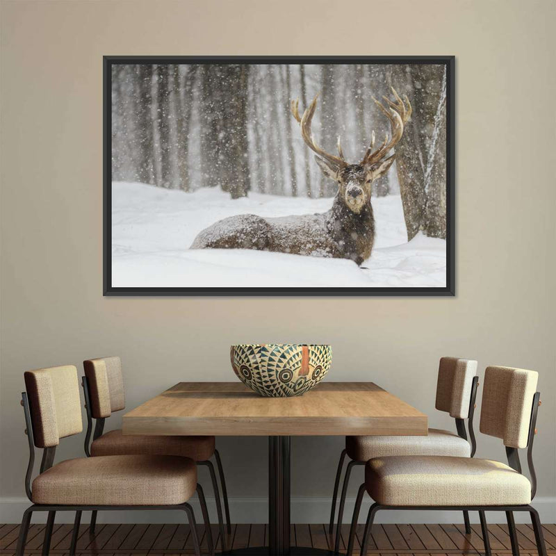 Snow Covered Elk Wall Art
