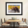Resting Grizzly Bear Wall Art