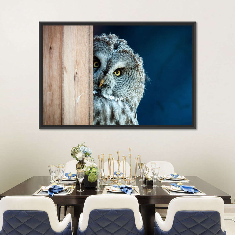 Peeking Owl Wall Art