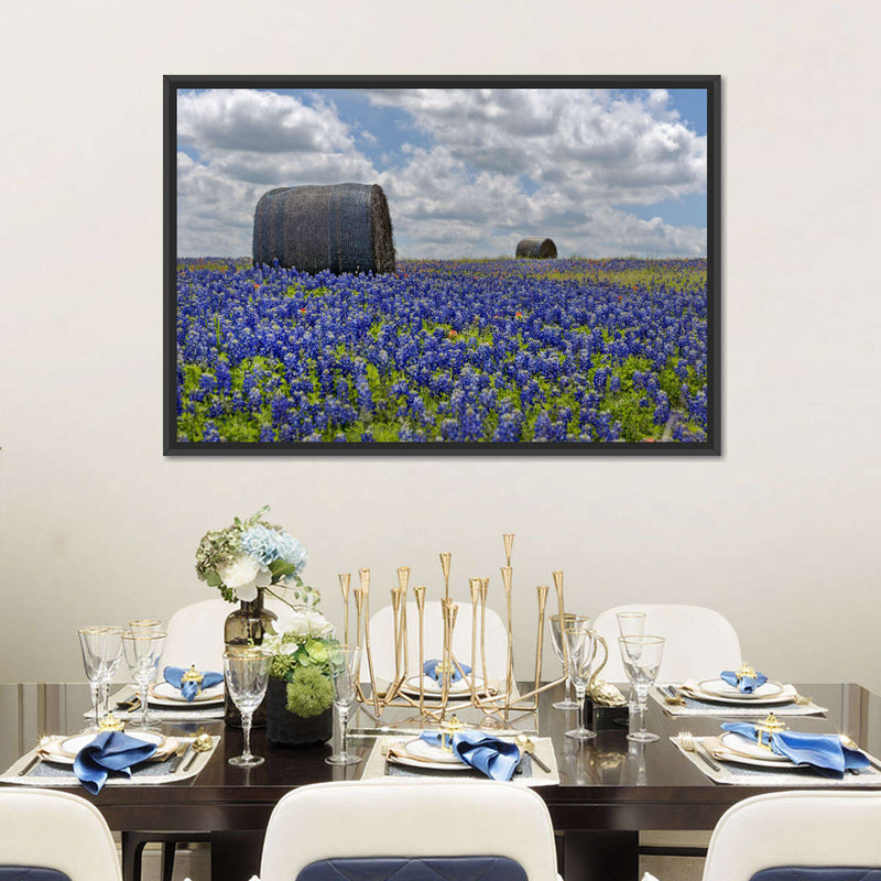 Texas Bluebonnets Wall Art
