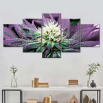 Rare Cannabis Plant Wall Art