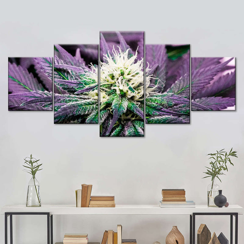 Rare Cannabis Plant Wall Art