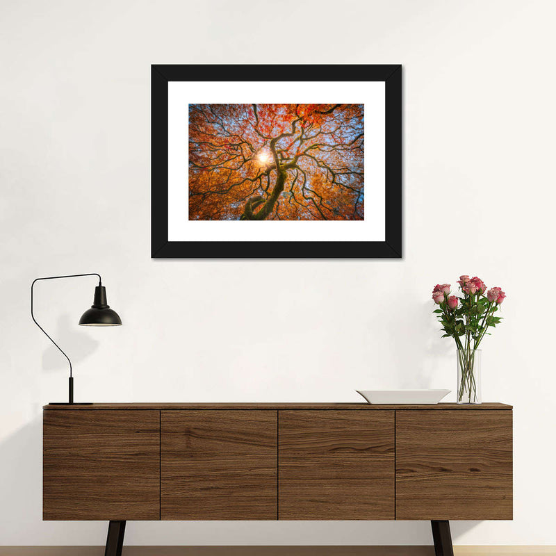 Japanese Maple Tree Wall Art