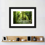 Into The Jungle Wall Art
